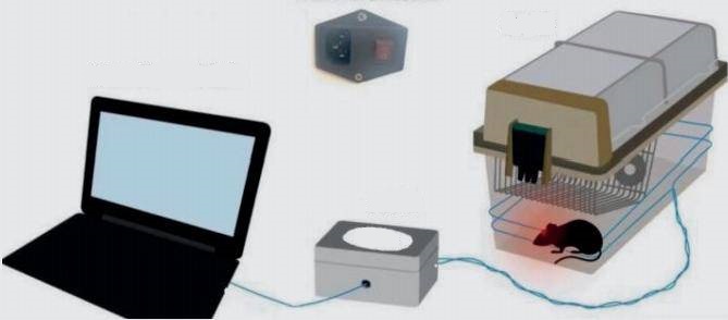 Wireless Optical Genetics image 4 - Magnetic Field Edition