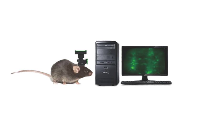 miniscop imaging system